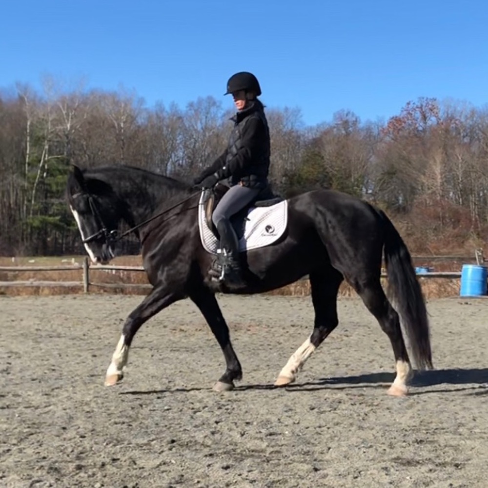 Meet your Posher, Rebecca